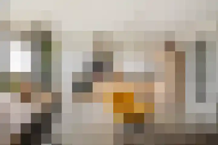 Grauwaartsingel 512 Utrecht thumbnail 10