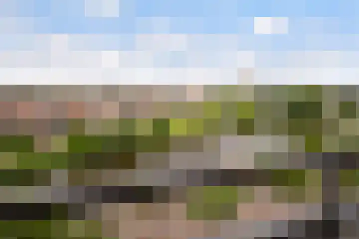 Grauwaartsingel 512 Utrecht thumbnail 18