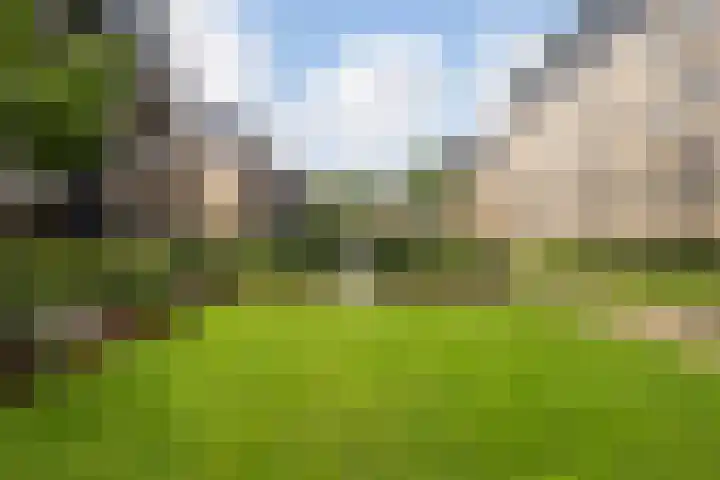 Grauwaartsingel 512 Utrecht thumbnail 30