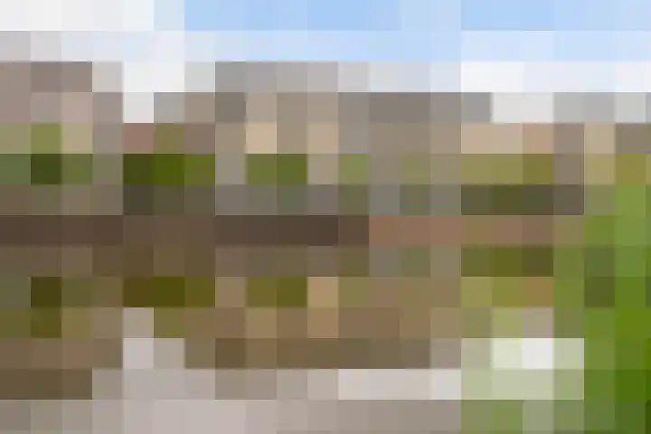 Grauwaartsingel 512 Utrecht thumbnail 38