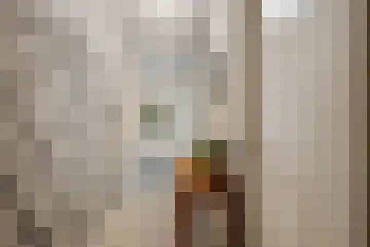 Grauwaartsingel 512 Utrecht thumbnail 8