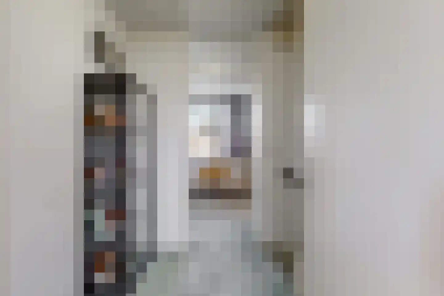 Grauwe Gans 2 Uithoorn thumbnail 11