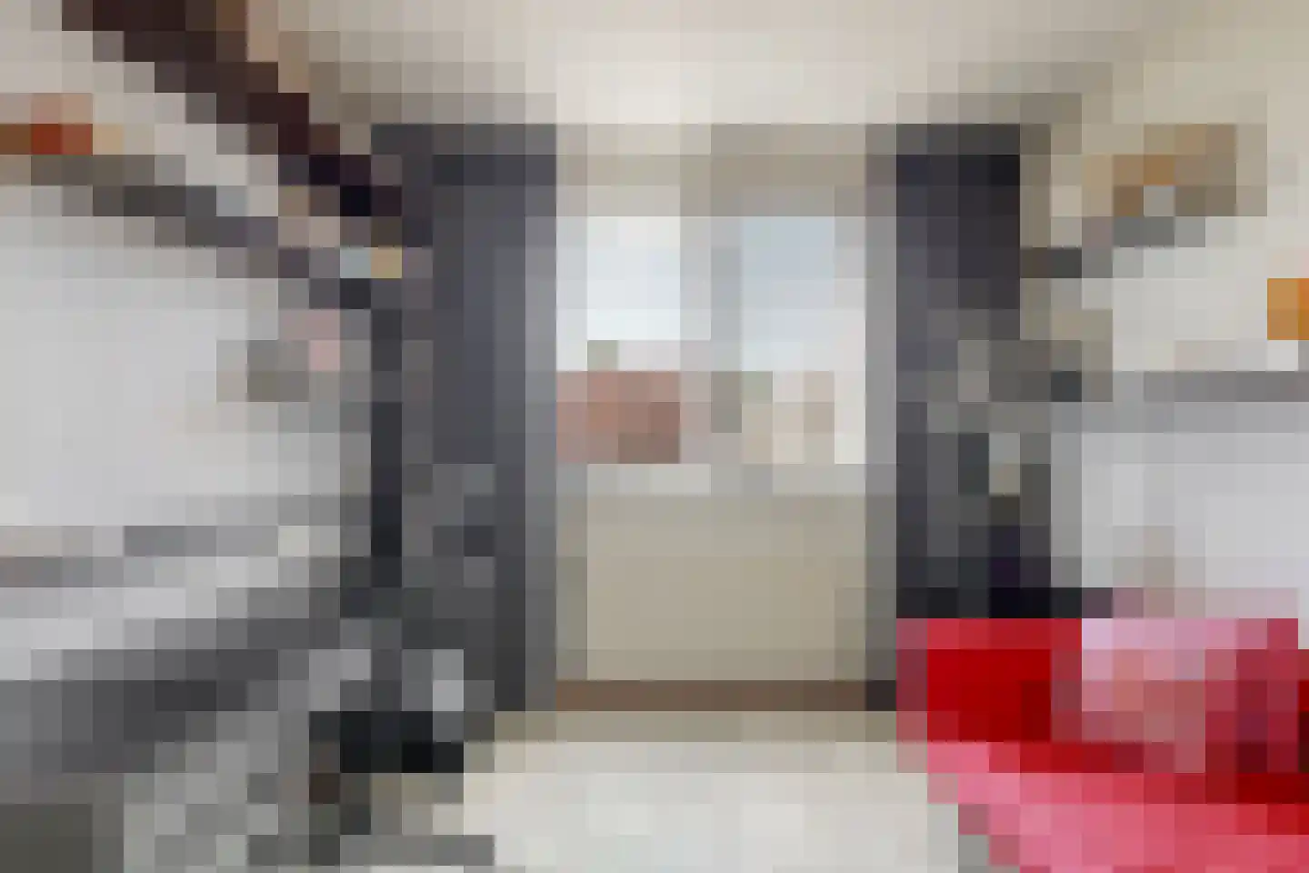 Grauwe Gans 2 Uithoorn thumbnail 12