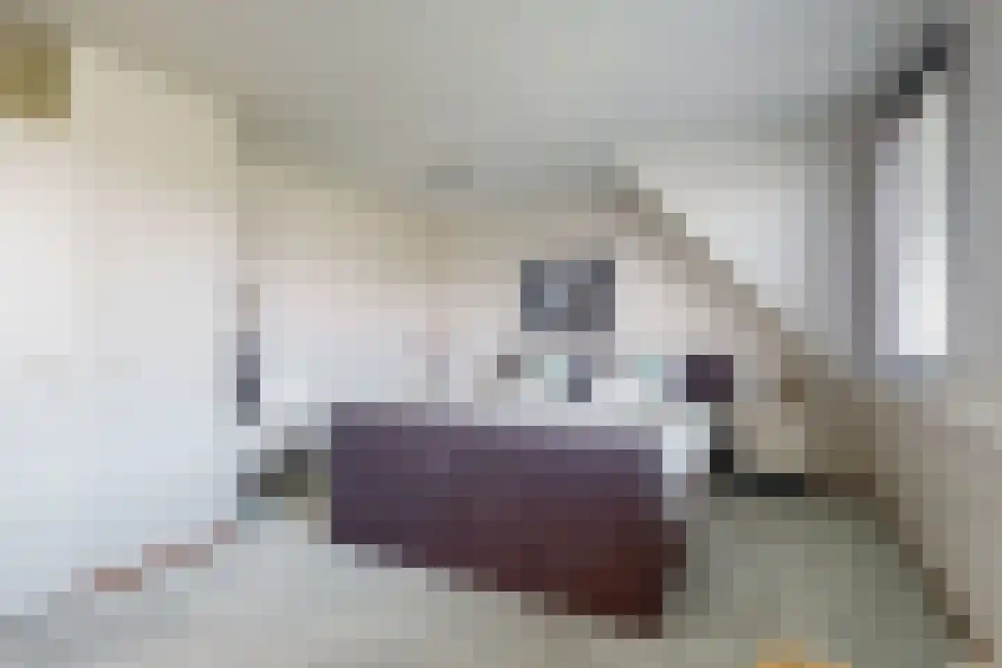 Grauwe Gans 2 Uithoorn thumbnail 14