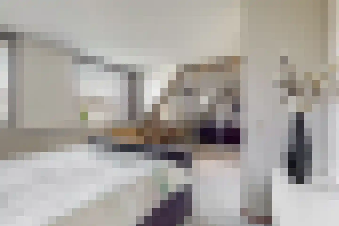 Grauwe Gans 2 Uithoorn thumbnail 15
