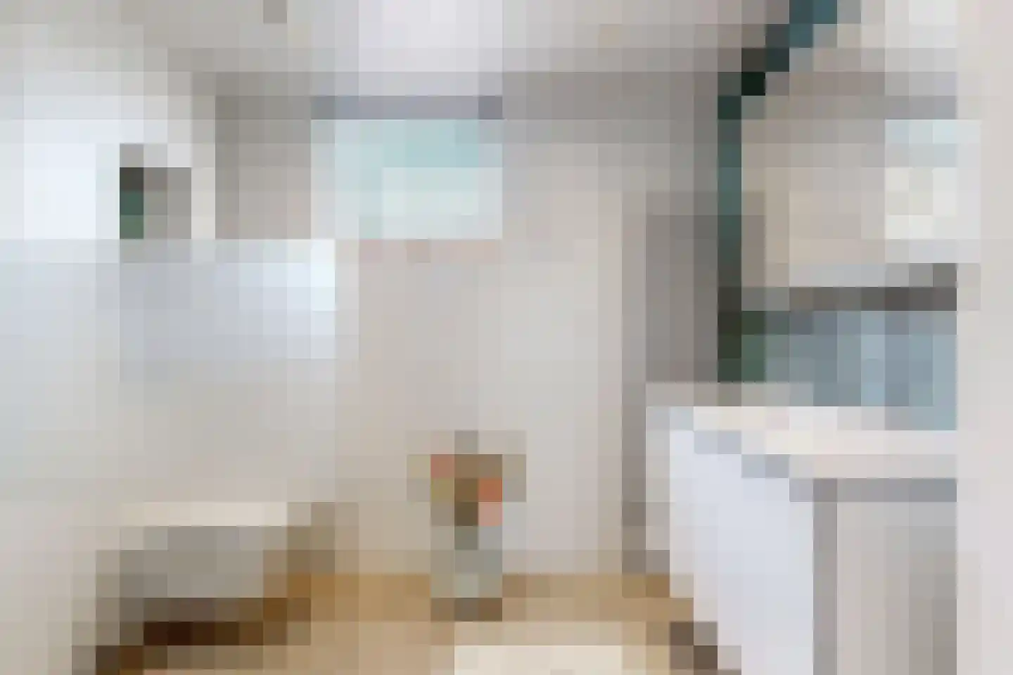 Grauwe Gans 2 Uithoorn thumbnail 16