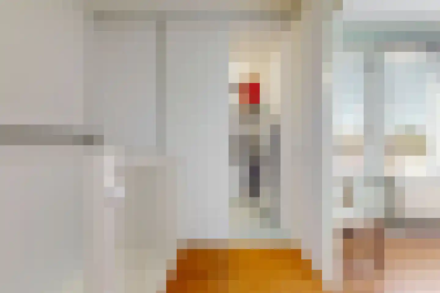 Grauwe Gans 2 Uithoorn thumbnail 18