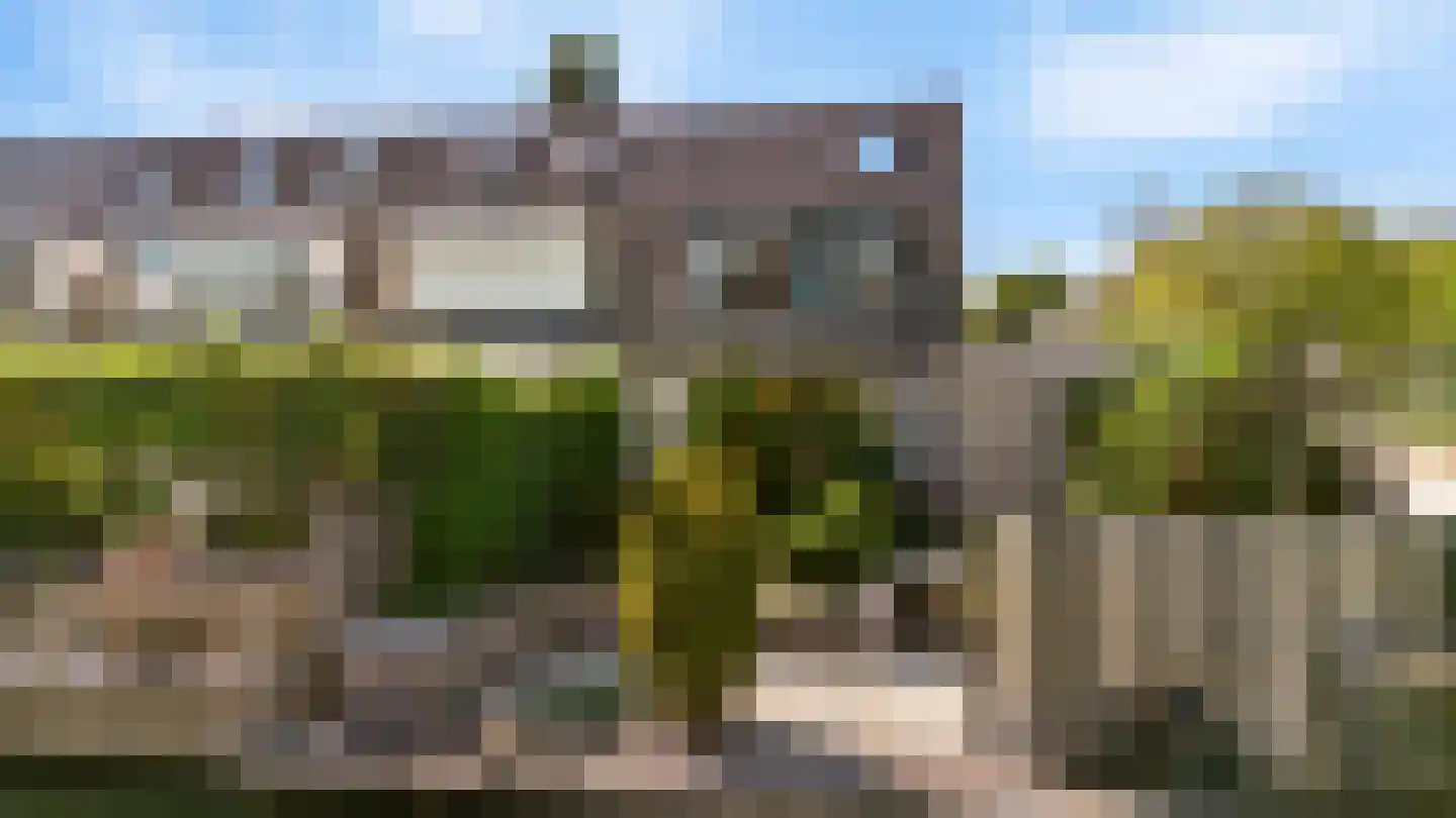 Grauwe Gans 2 Uithoorn thumbnail 21