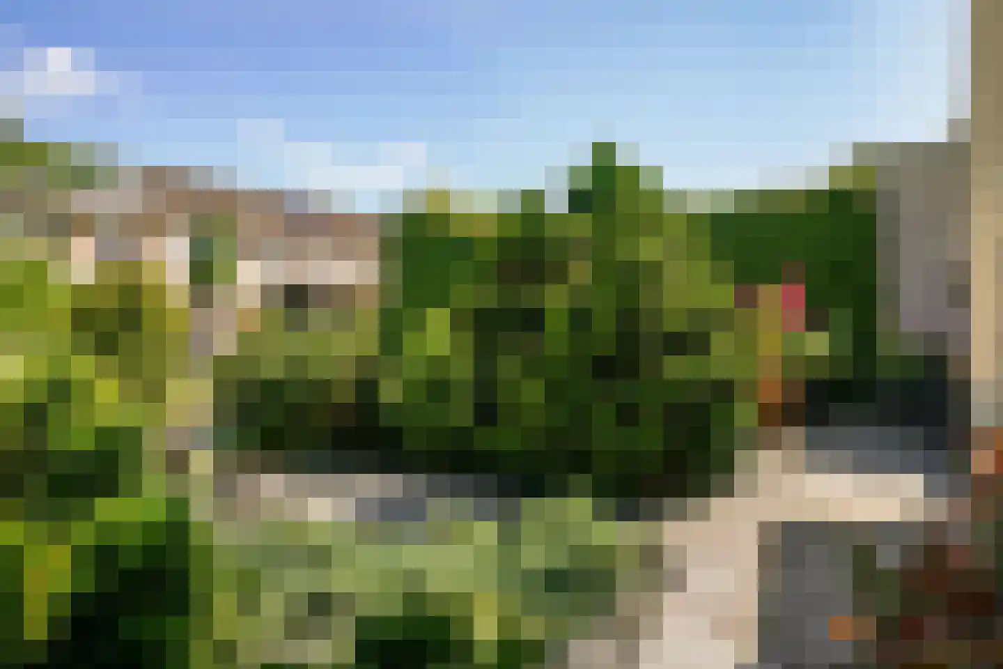 Grauwe Gans 2 Uithoorn thumbnail 22