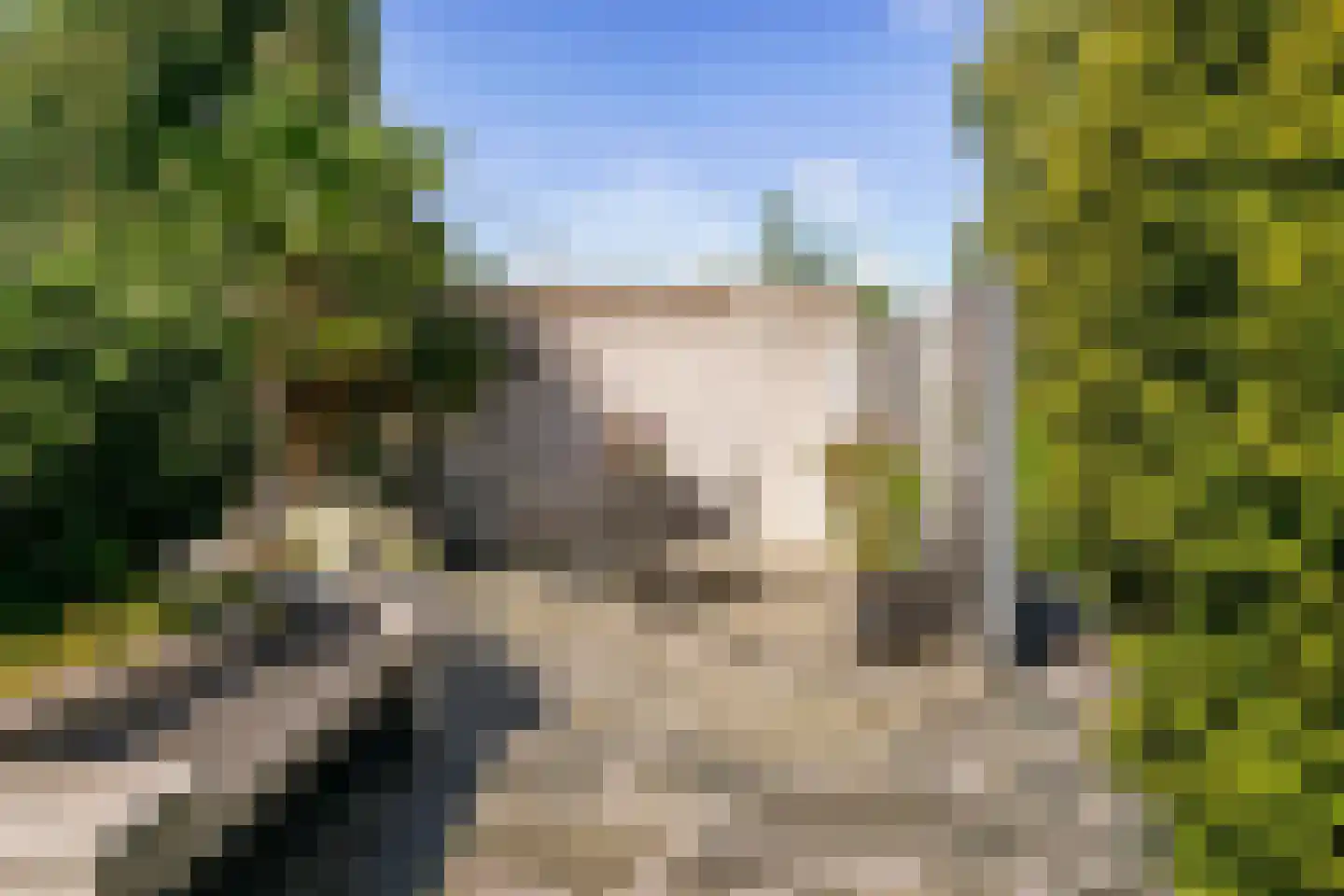 Grauwe Gans 2 Uithoorn thumbnail 23