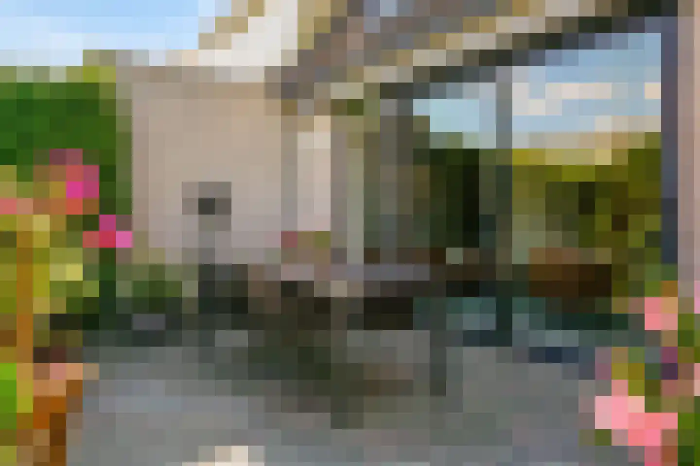 Grauwe Gans 2 Uithoorn thumbnail 24