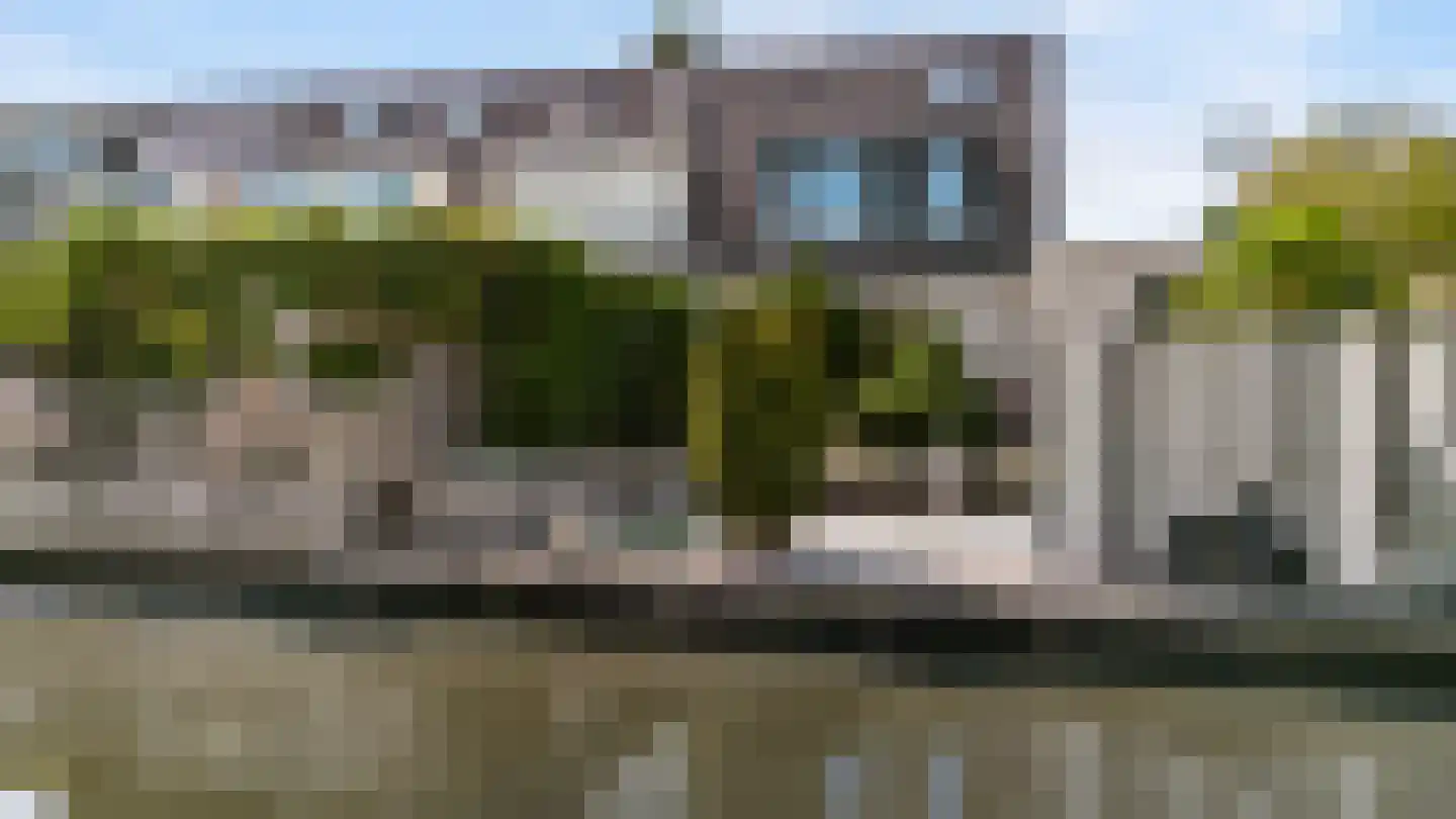 Grauwe Gans 2 Uithoorn thumbnail 25