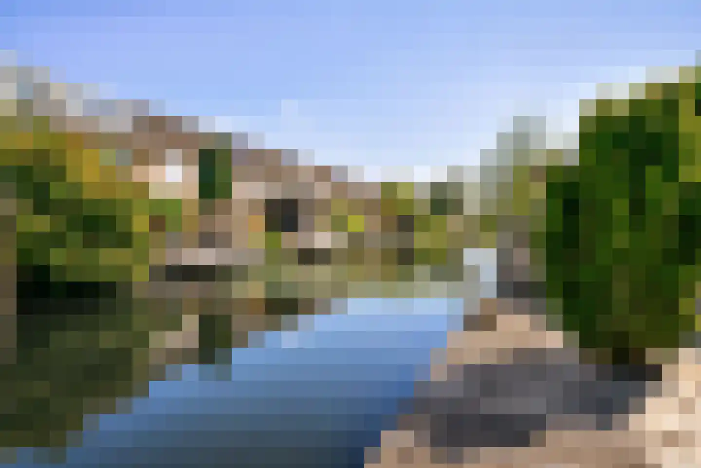 Grauwe Gans 2 Uithoorn thumbnail 26