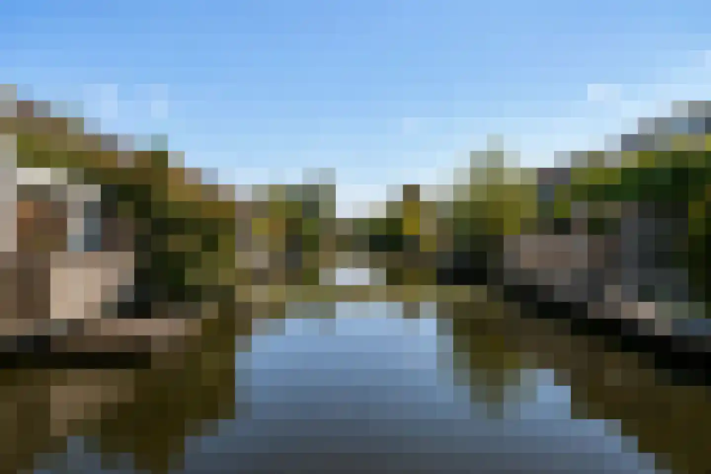 Grauwe Gans 2 Uithoorn thumbnail 27