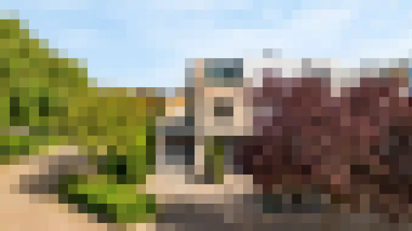 Grauwe Gans 2 Uithoorn thumbnail 29