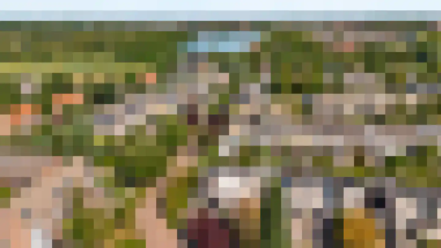 Grauwe Gans 2 Uithoorn thumbnail 30