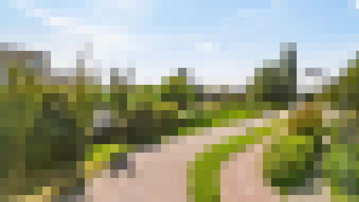 Grauwe Gans 2 Uithoorn thumbnail 31