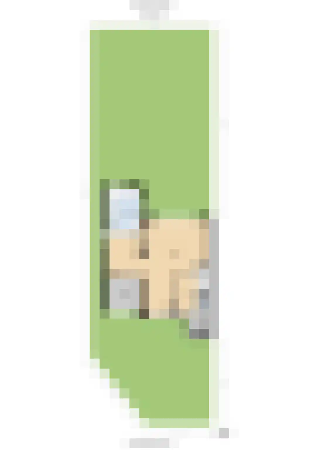 Grauwe Gans 2 Uithoorn thumbnail 35