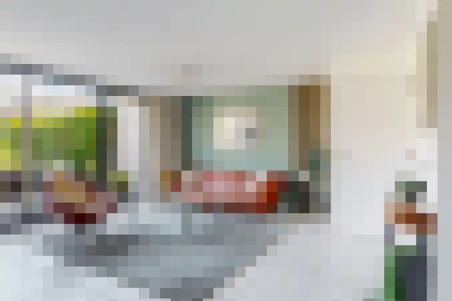 Grauwe Gans 2 Uithoorn thumbnail 4