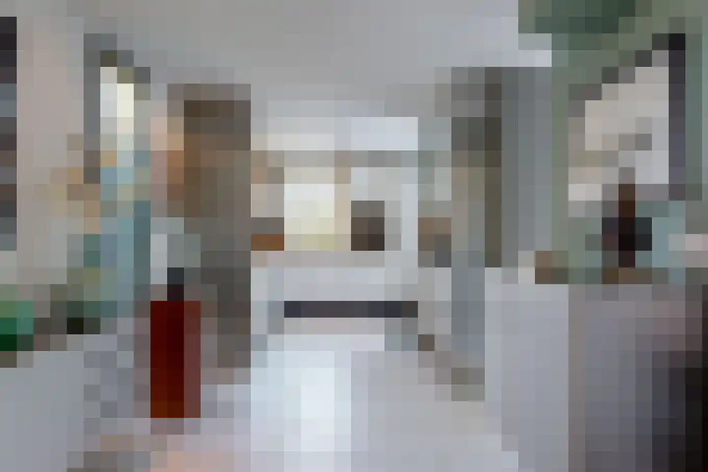 Grauwe Gans 2 Uithoorn thumbnail 7