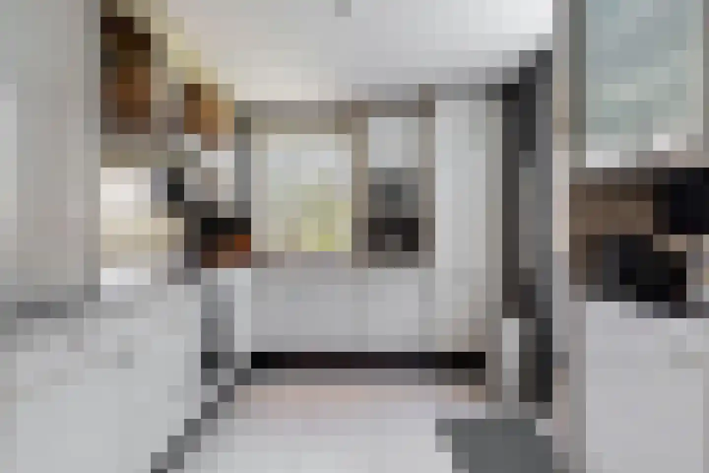 Grauwe Gans 2 Uithoorn thumbnail 8