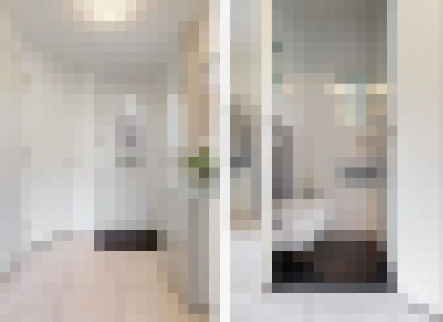 Grauwe Gans 2 Uithoorn thumbnail 9