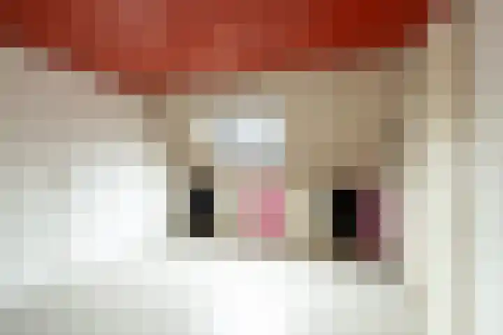 Grauwe Gans 20 Bergen op Zoom thumbnail 27