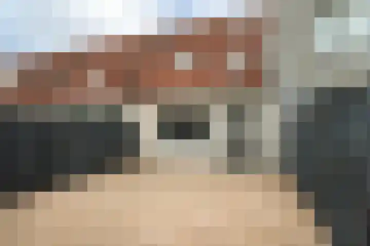 Grauwe Gans 20 Bergen op Zoom thumbnail 30