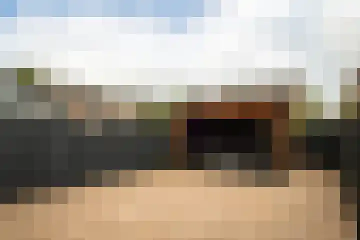 Grauwe Gans 20 Bergen op Zoom thumbnail 32