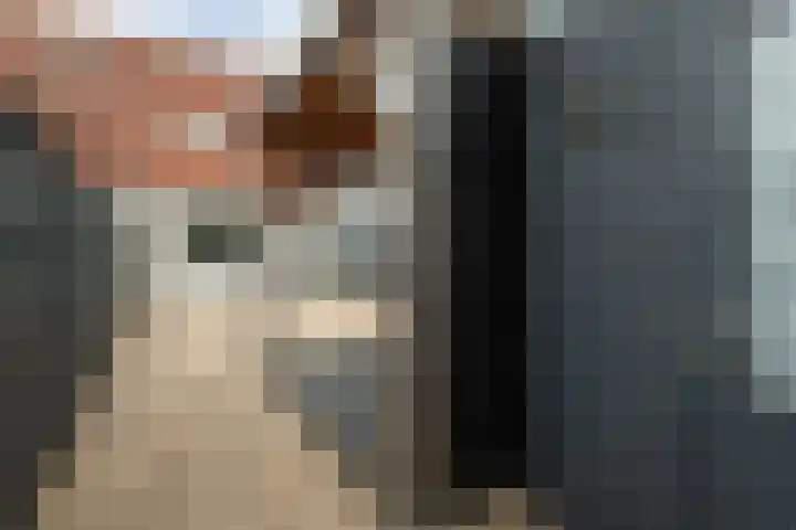 Grauwe Gans 20 Bergen op Zoom thumbnail 34