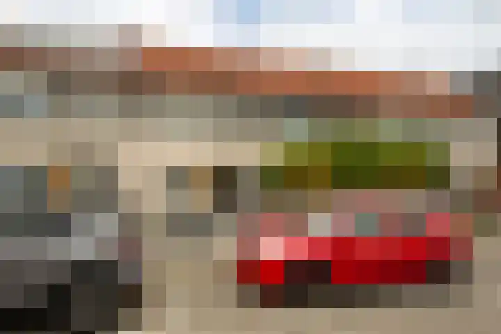 Grauwe Gans 20 Bergen op Zoom thumbnail 37