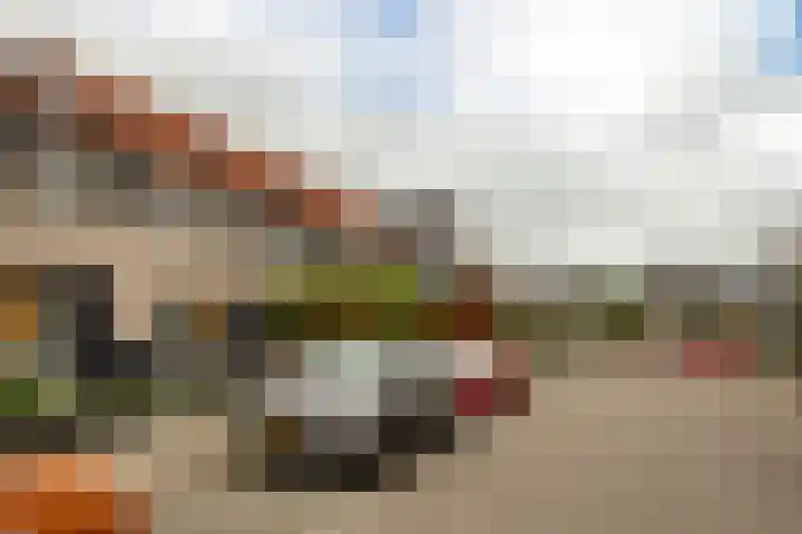 Grauwe Gans 20 Bergen op Zoom thumbnail 38