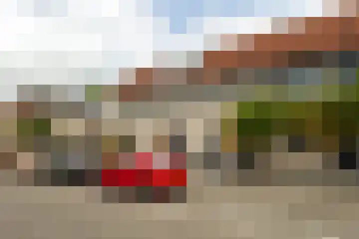 Grauwe Gans 20 Bergen op Zoom thumbnail 39