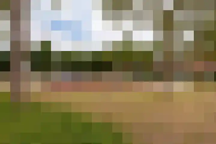 Grauwe Gans 20 Bergen op Zoom thumbnail 41