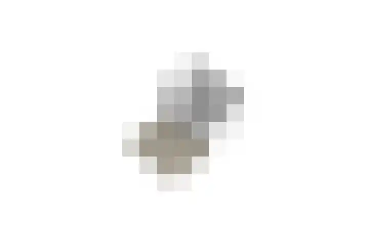 Grauwe Gans 20 Bergen op Zoom thumbnail 50