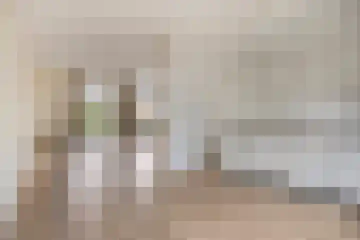 Grauwe Gans 24 Emmen thumbnail 11