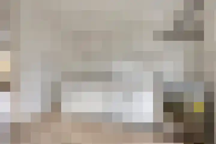 Grauwe Gans 24 Emmen thumbnail 13