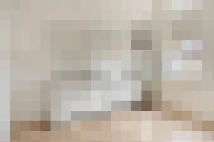 Grauwe Gans 24 Emmen thumbnail 14