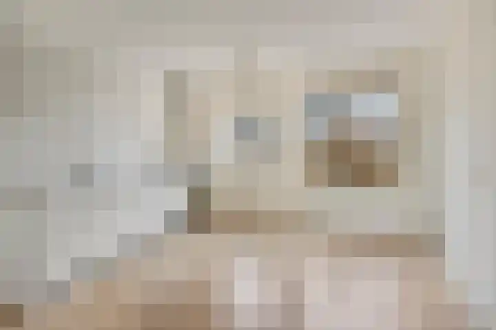 Grauwe Gans 24 Emmen thumbnail 15