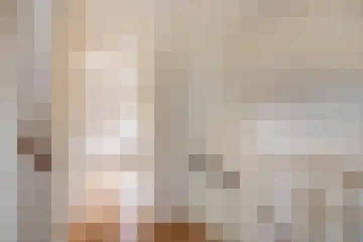 Grauwe Gans 24 Emmen thumbnail 17