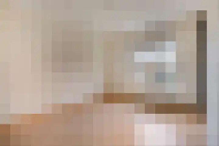 Grauwe Gans 24 Emmen thumbnail 18