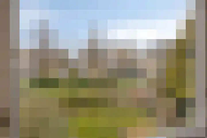 Grauwe Gans 24 Emmen thumbnail 19