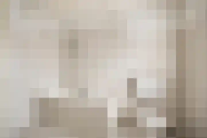 Grauwe Gans 24 Emmen thumbnail 22