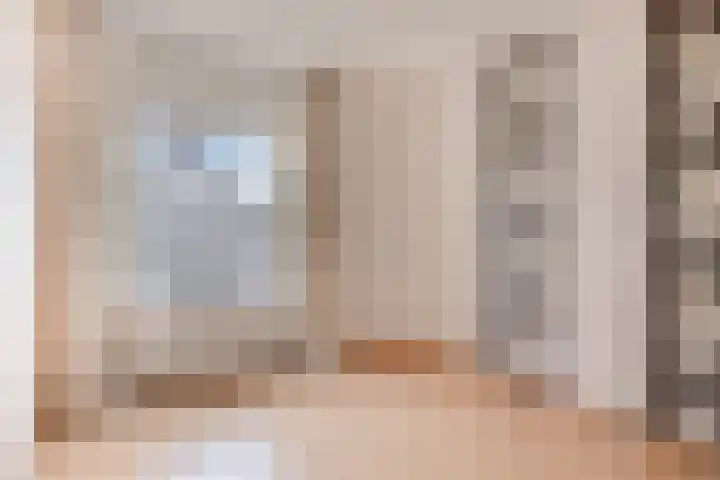Grauwe Gans 24 Emmen thumbnail 23