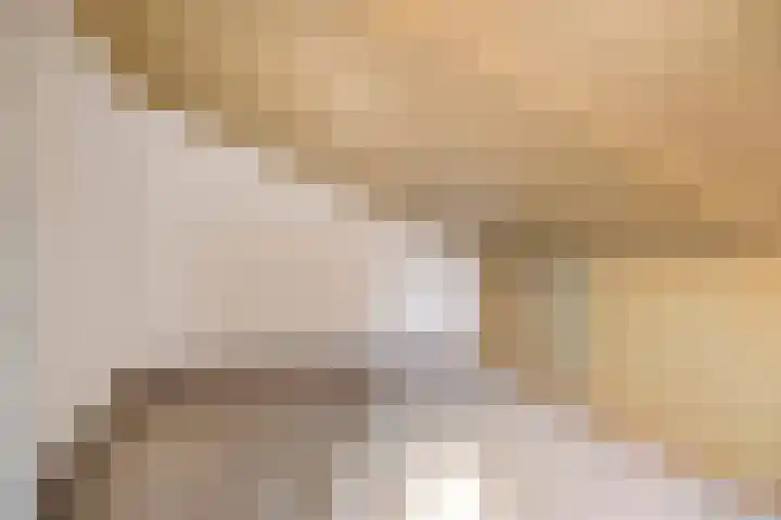 Grauwe Gans 24 Emmen thumbnail 25