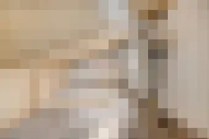 Grauwe Gans 24 Emmen thumbnail 26