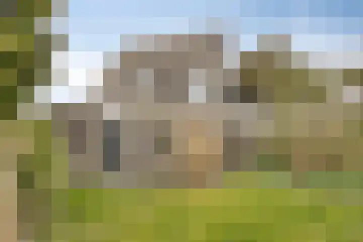 Grauwe Gans 24 Emmen thumbnail 27