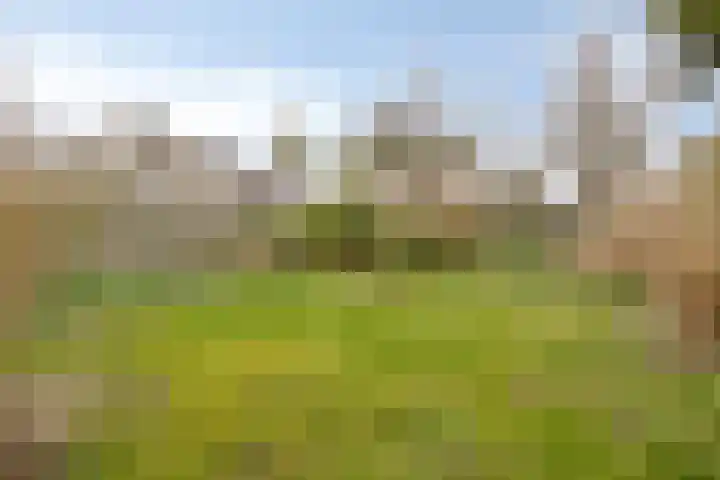 Grauwe Gans 24 Emmen thumbnail 28