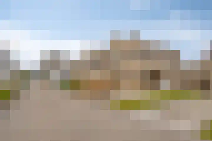 Grauwe Gans 24 Emmen thumbnail 4