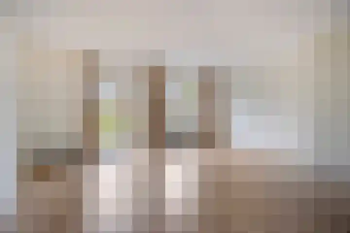 Grauwe Gans 24 Emmen thumbnail 6